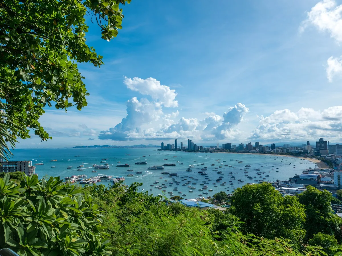 Pattaya Bay curving past the city's high-rises, seen from the green hillside viewpoint